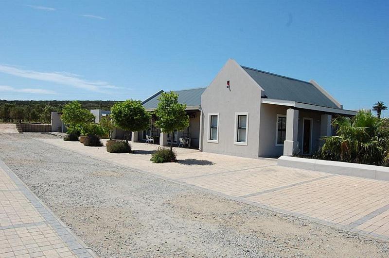 Longacre Olive & Vineyard Estate Pension Langebaan Buitenkant foto