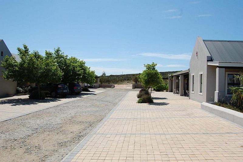 Longacre Olive & Vineyard Estate Pension Langebaan Buitenkant foto